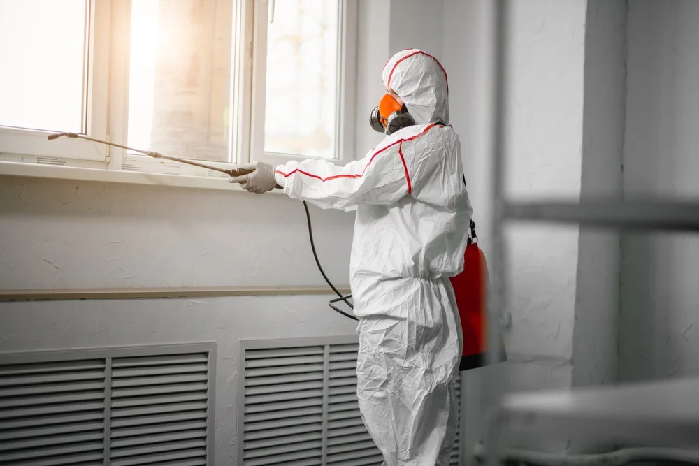 Professional mold remediation services in Dahlonega, GA